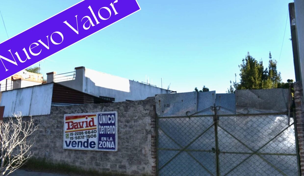 Nuevo Valor (24)