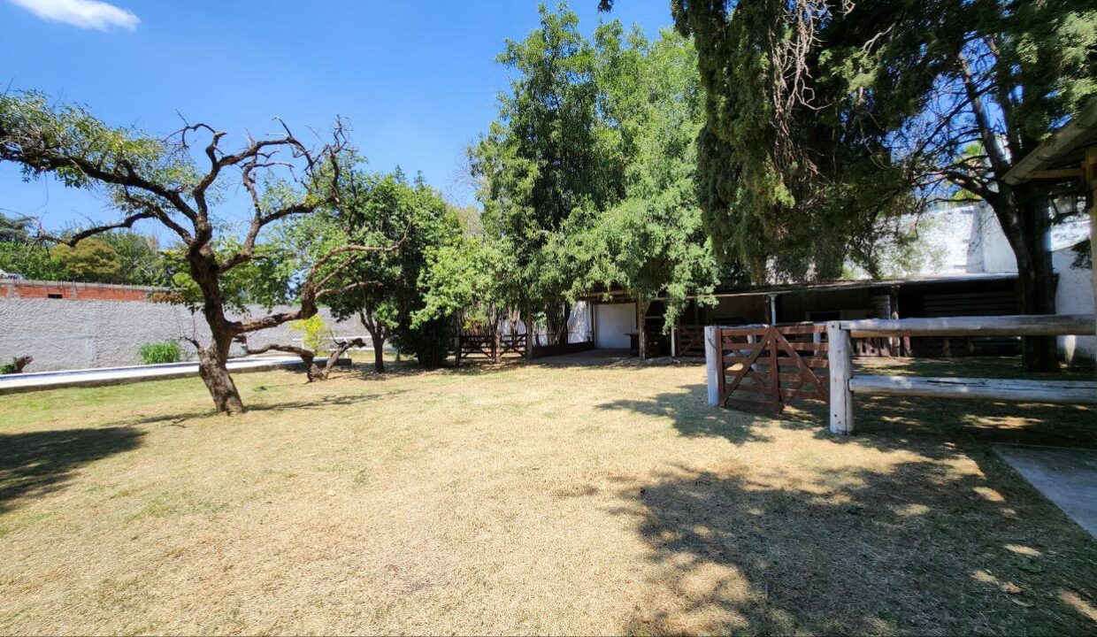 5130134102462893092 (2)