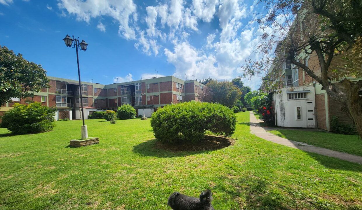 photo_4920389039555283785_y