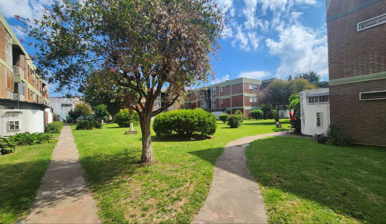 photo_4920389039555283787_y