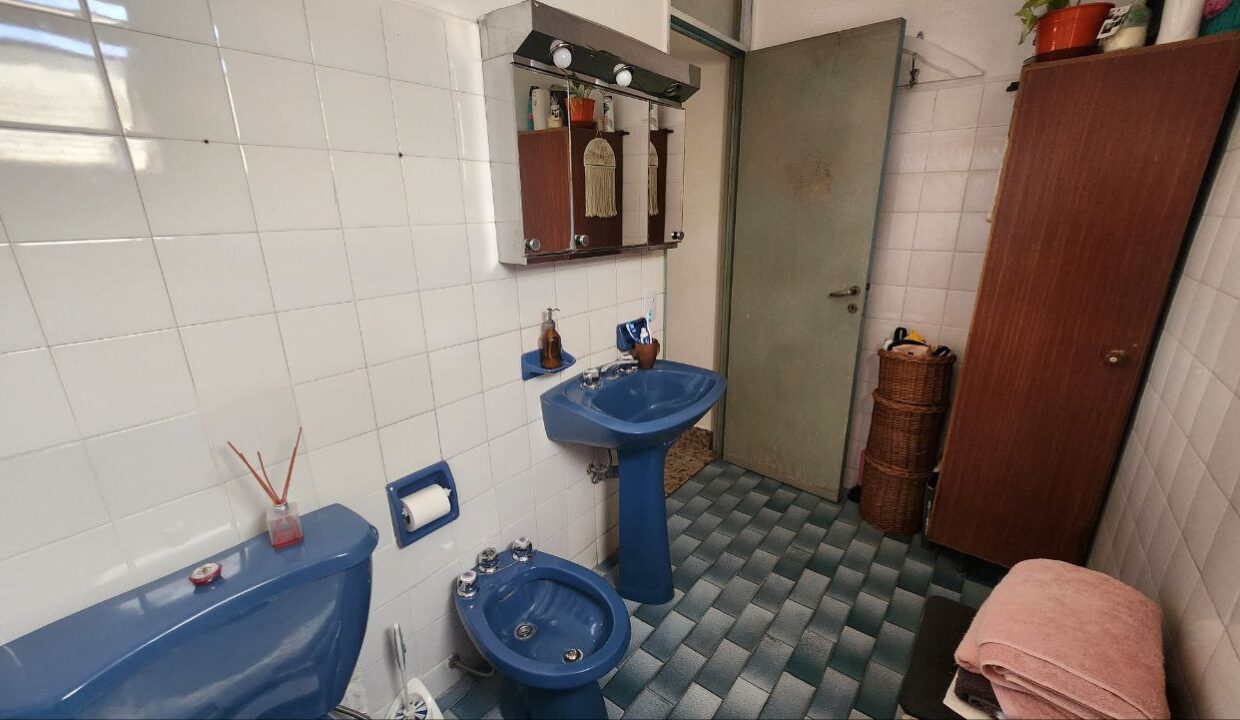 photo_4920389039555283811_y