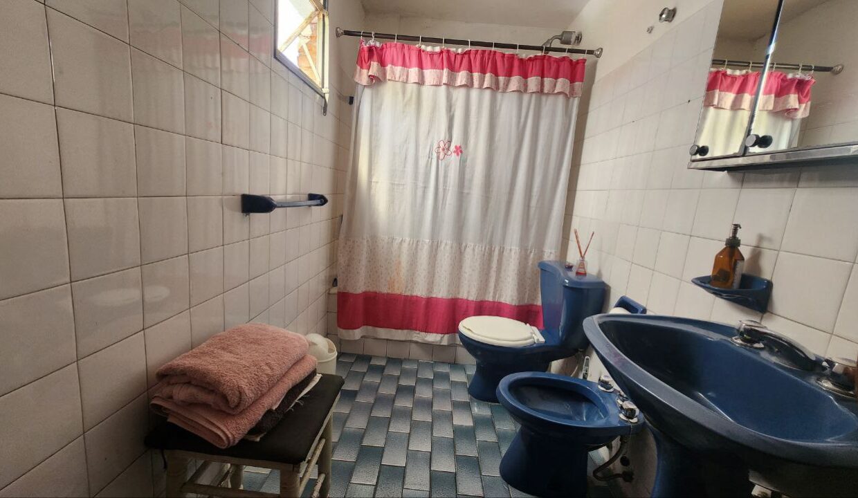 photo_4920389039555283817_y