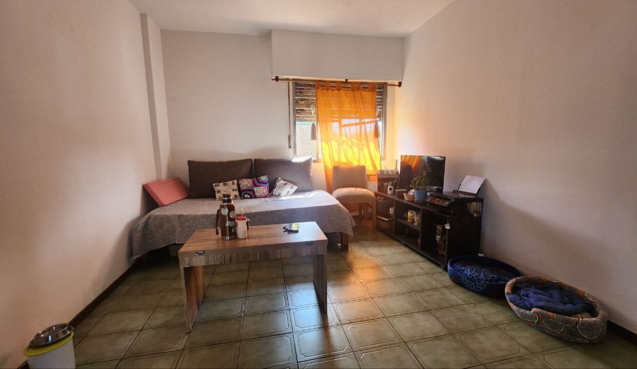 photo_4920389039555283824_y