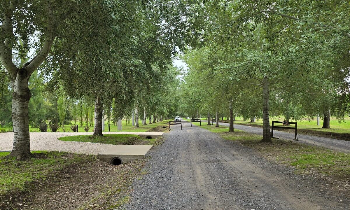 WhatsApp Image 2025-11-13 at 15.38.24