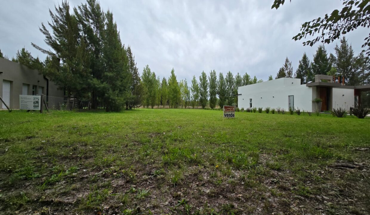 WhatsApp Image 2025-11-13 at 15.38.26 (1)