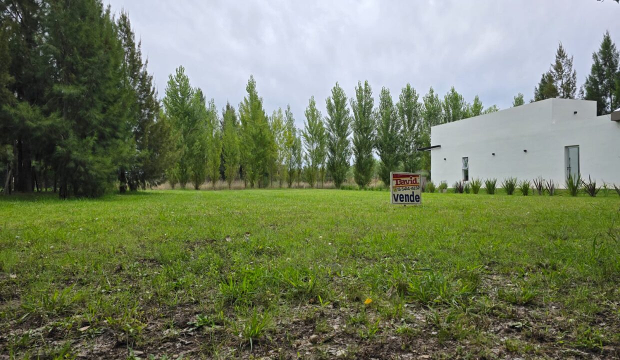 WhatsApp Image 2025-11-13 at 15.38.26