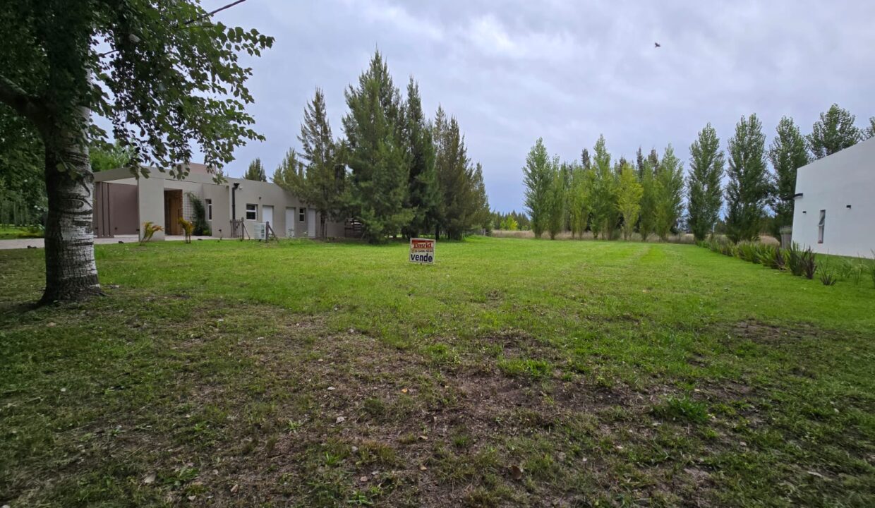 WhatsApp Image 2025-11-13 at 15.38.27