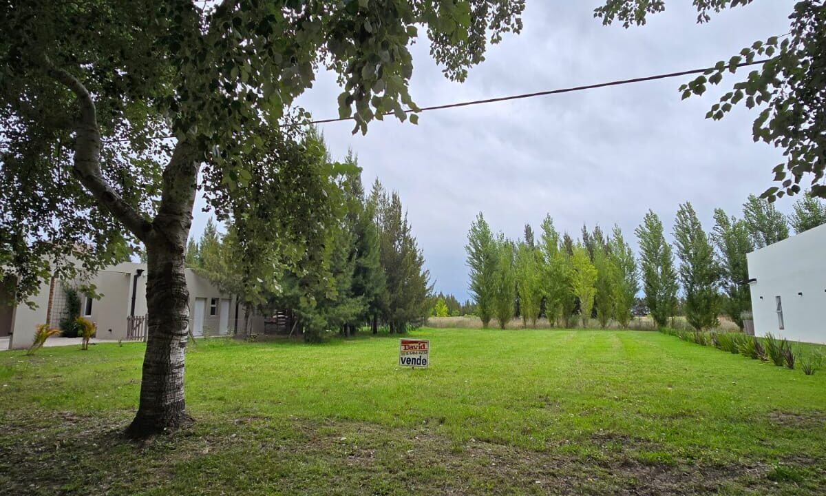 WhatsApp Image 2025-11-13 at 15.38.30