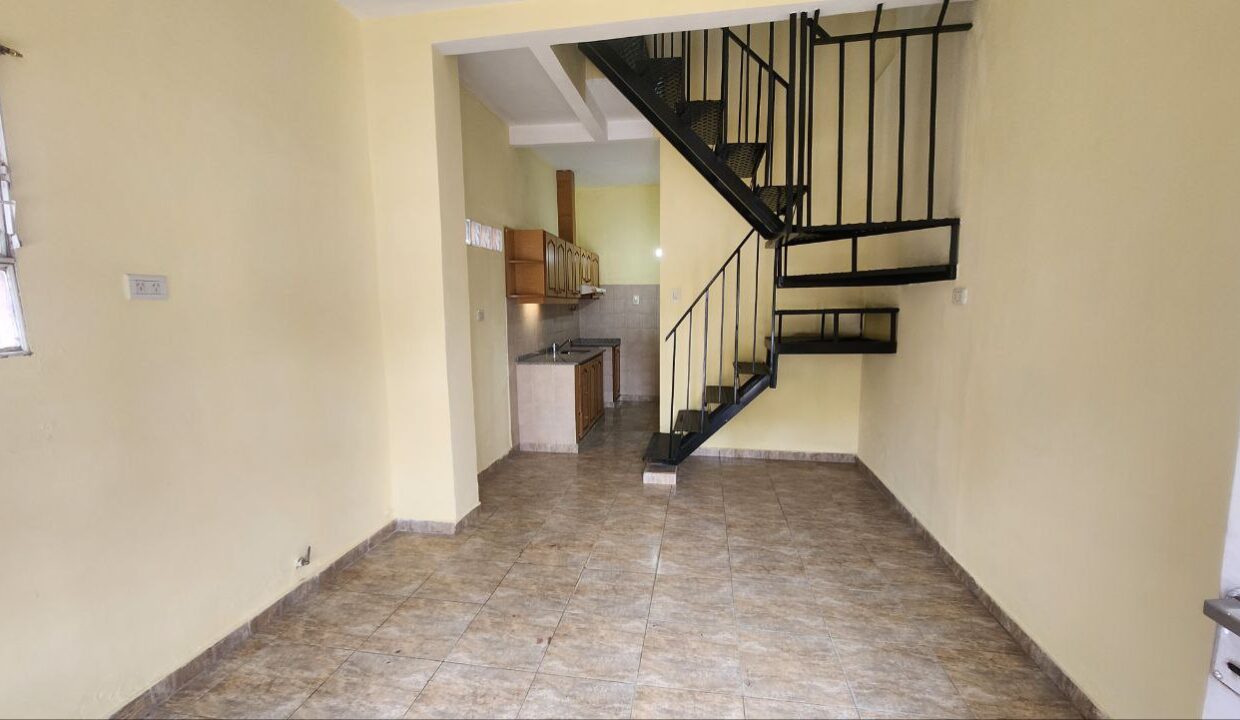 photo_5138871818289613775_y