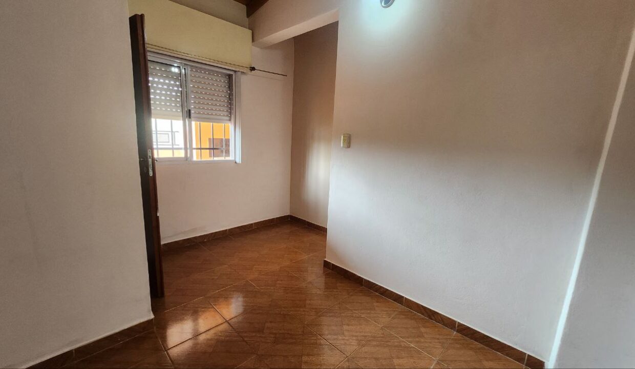 photo_5138871818289613803_y