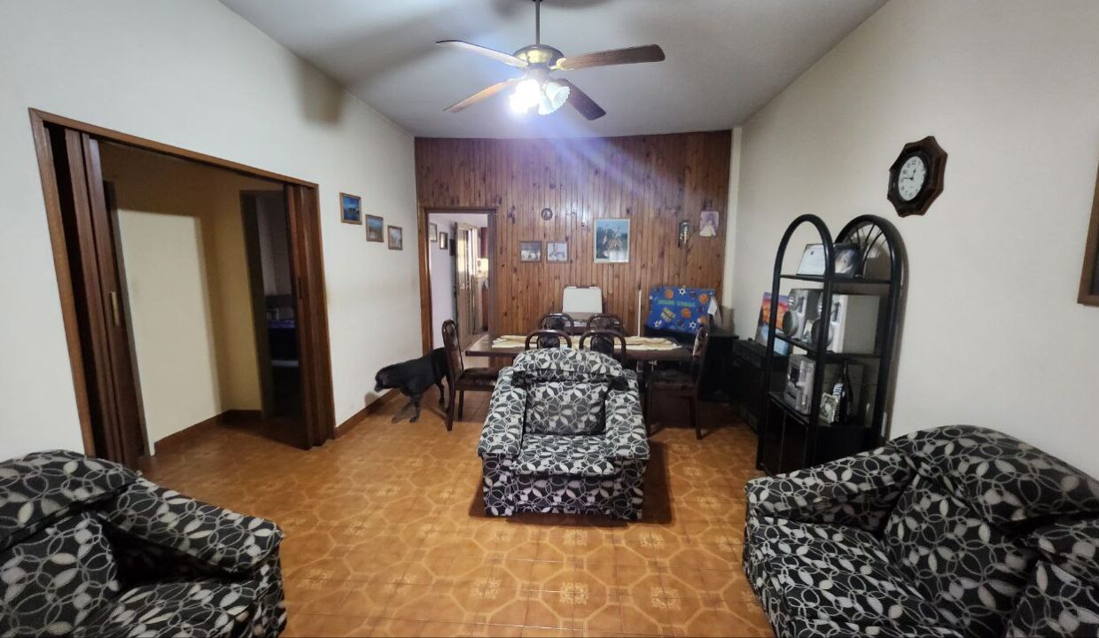 photo_4988213522416208847_y