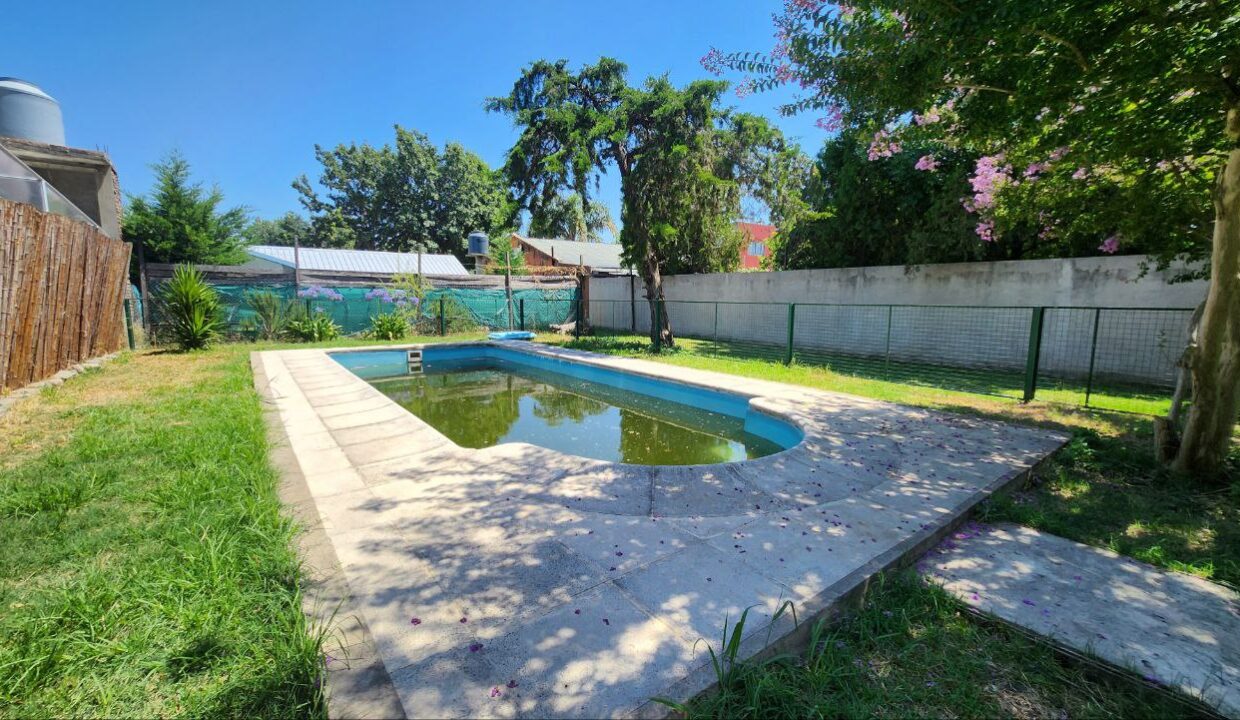 photo_5130134102462893173_y