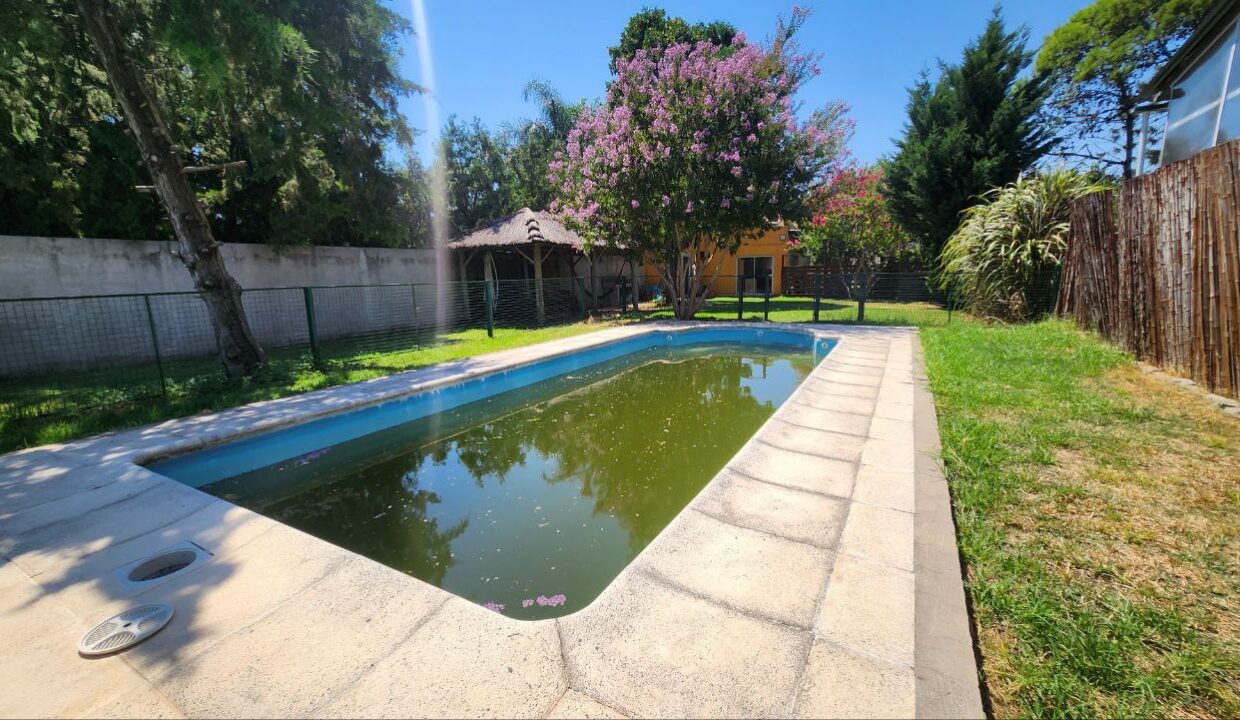 photo_5130134102462893177_y