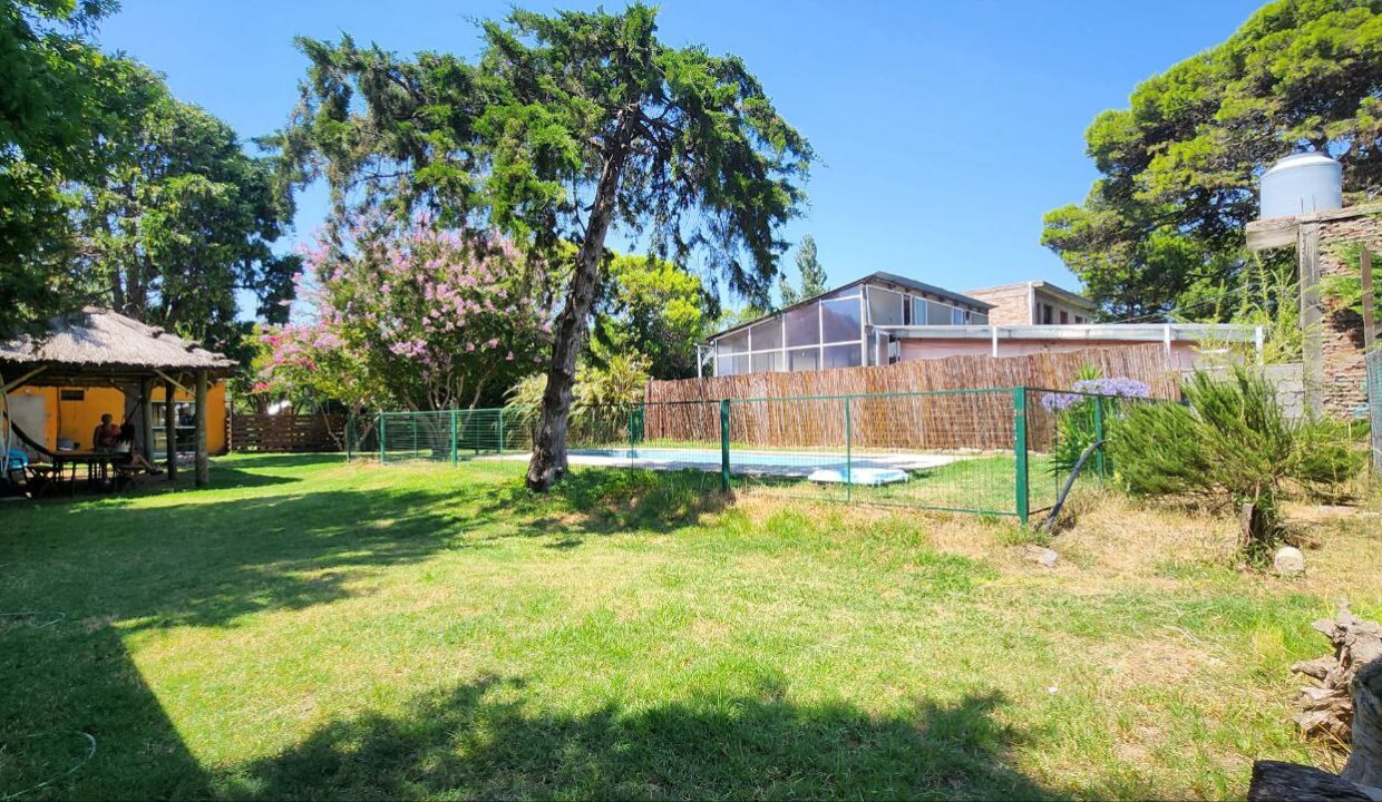 photo_5130134102462893182_y