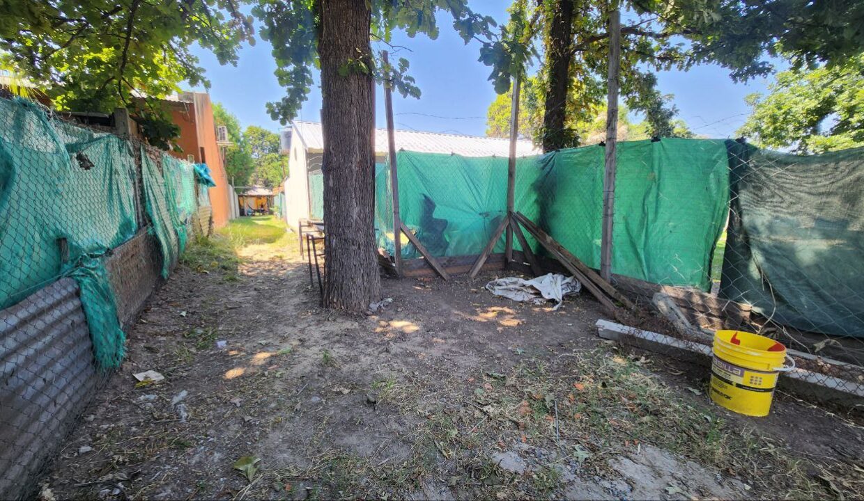 photo_5130134102462893188_y