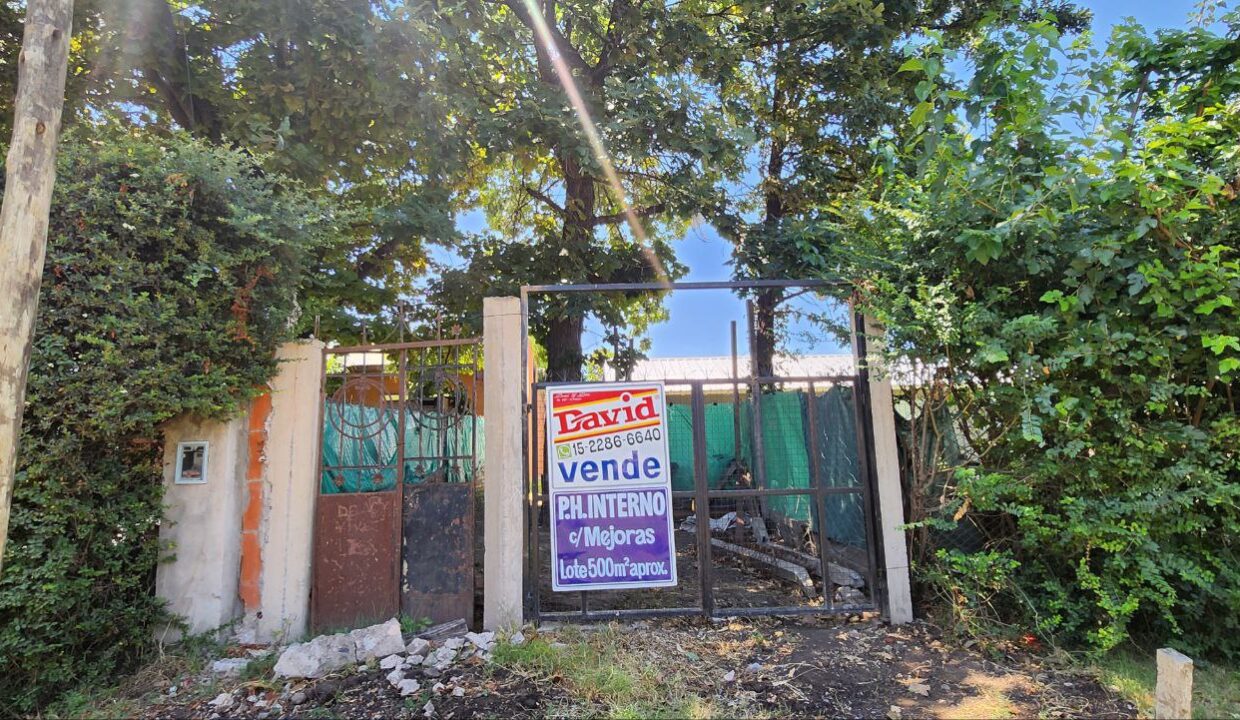 photo_5138871818289613735_y