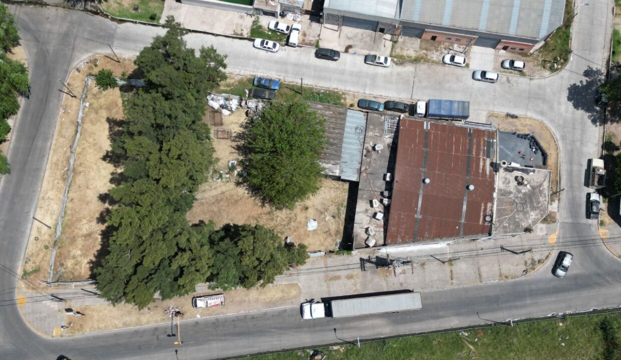 photo_4990081914794347354_y