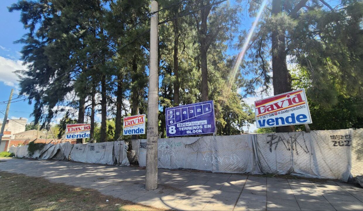 photo_5015173195341958054_y