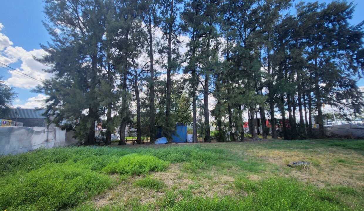 photo_5015173195341958066_y