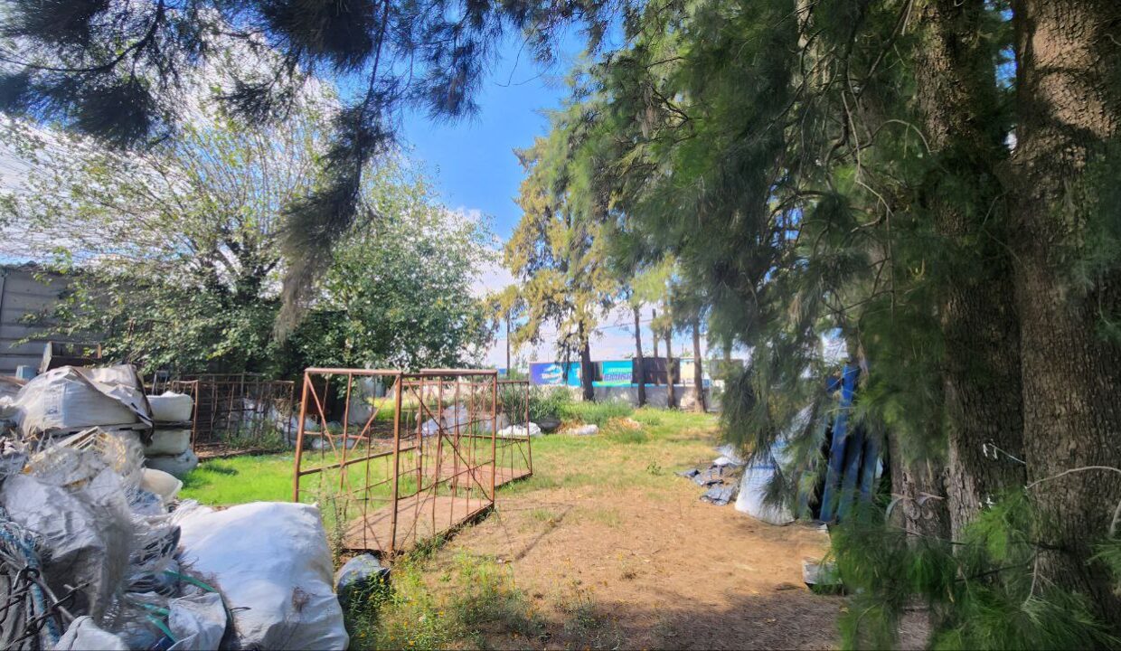 photo_5015173195341958068_y