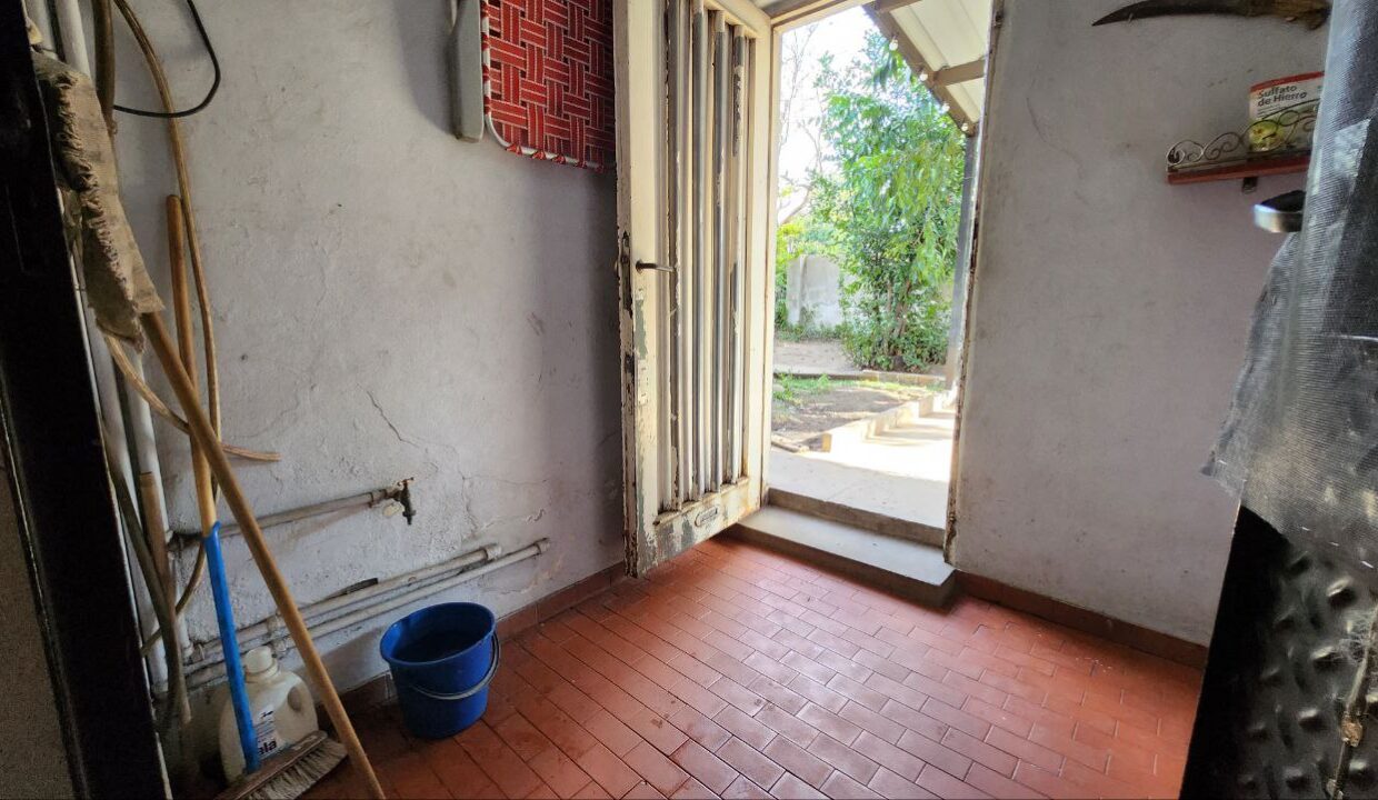 photo_5017198766343261035_y