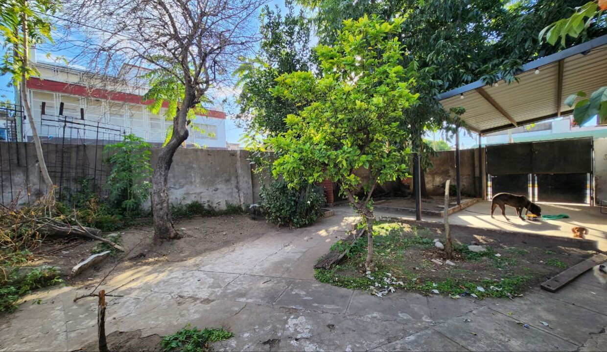 photo_5017198766343261041_y